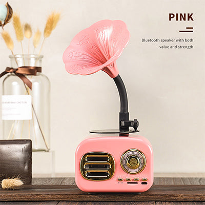 Bluetooth speaker phonograph